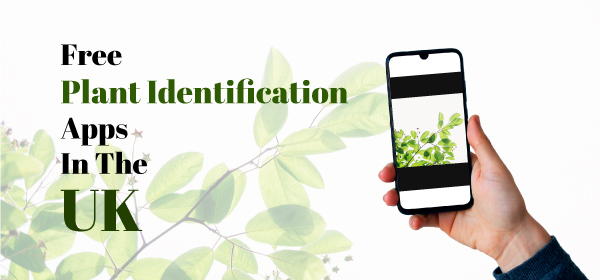 Top 15 Free Plant Identification Apps in the UK